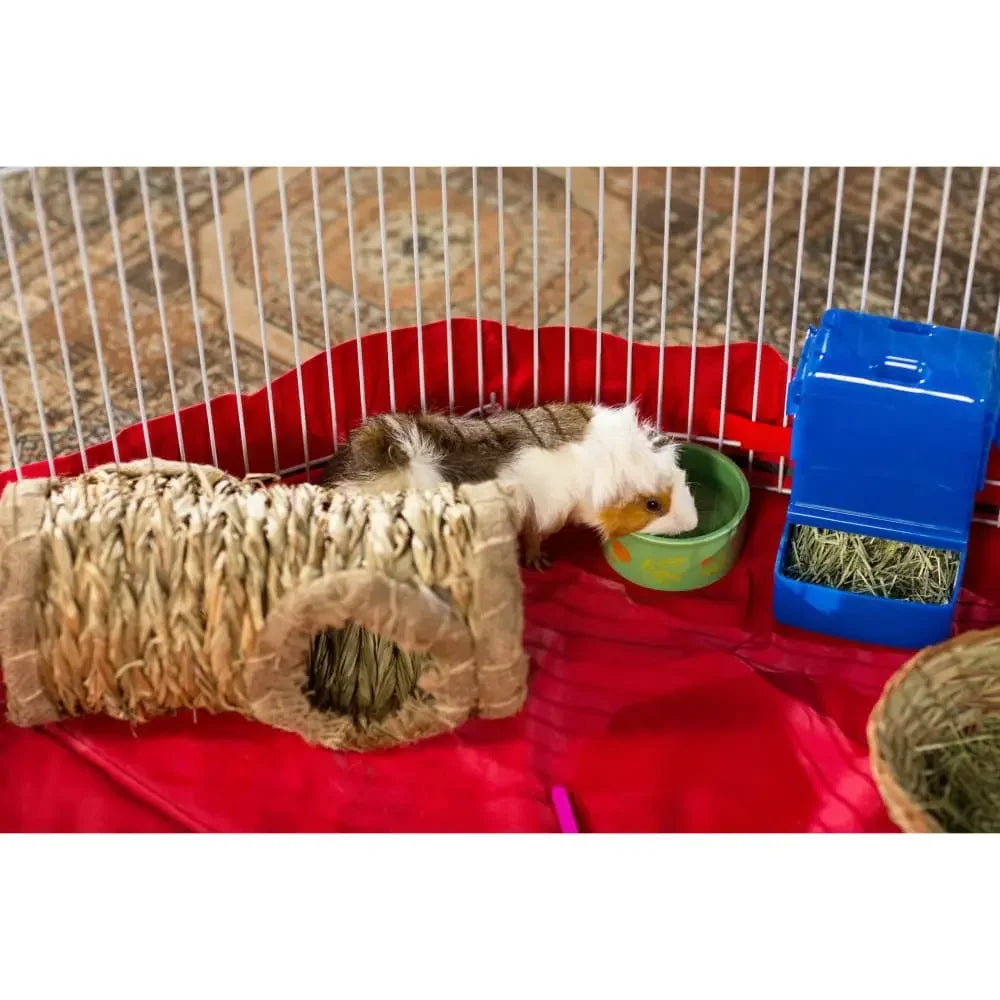 Grass Tunnel Prevue Pet