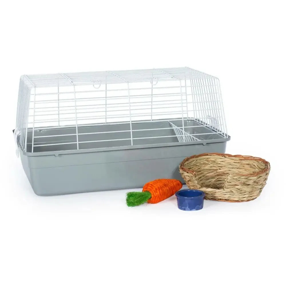Grassy Nibblers Activity Ball Prevue Pet