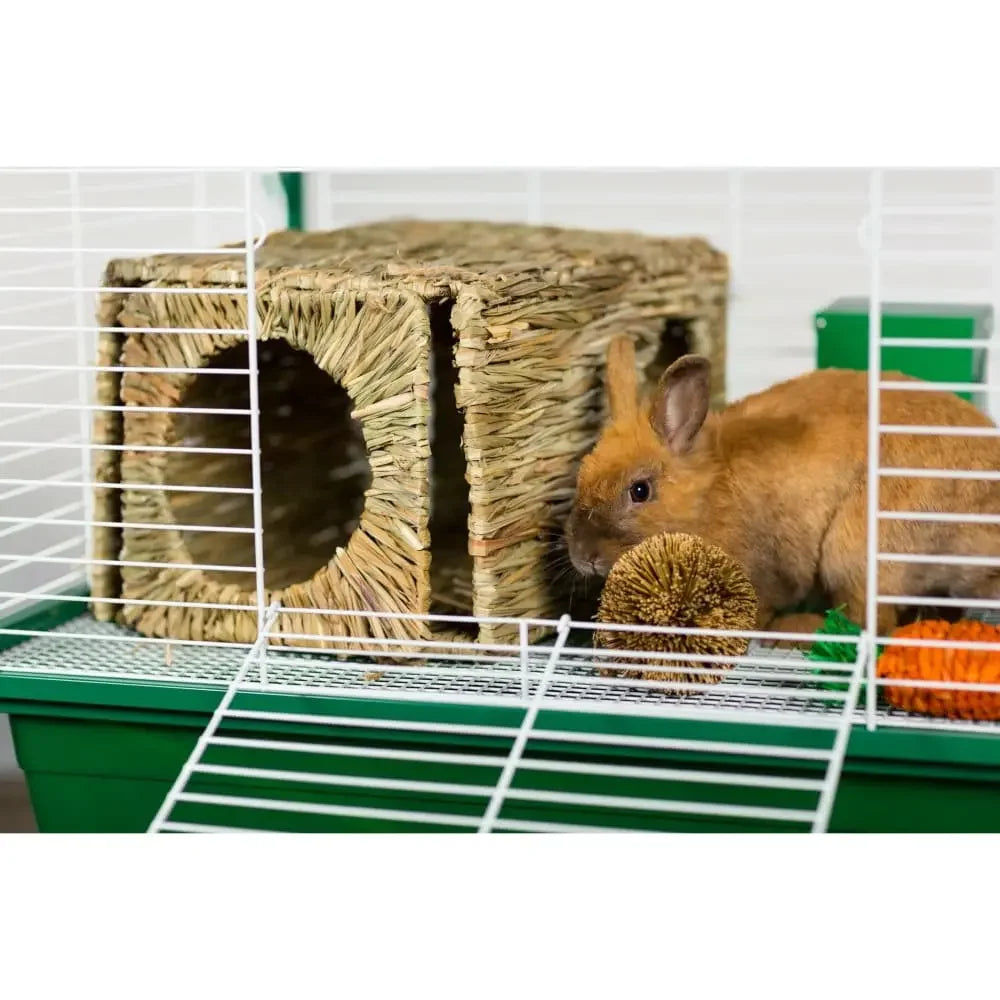 Grassy Nibblers Activity Ball Prevue Pet