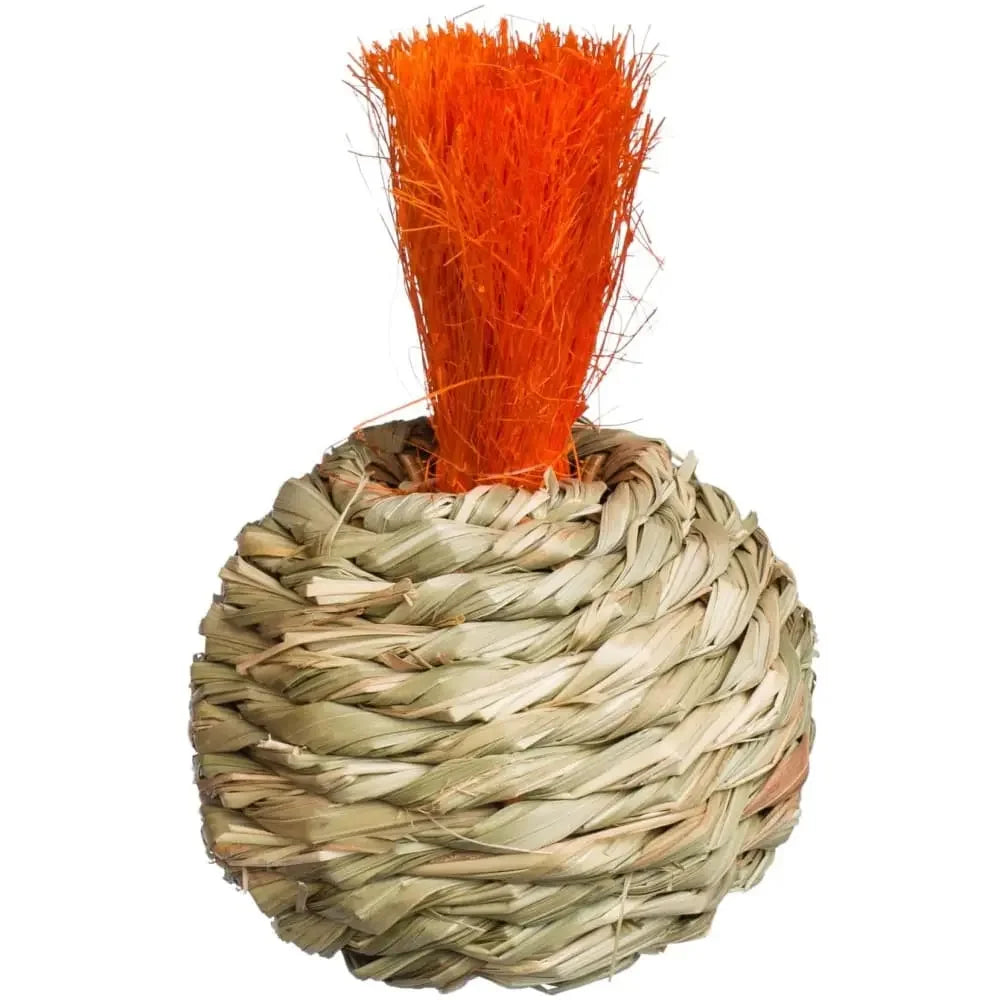 Grassy Nibblers Squash Prevue Pet