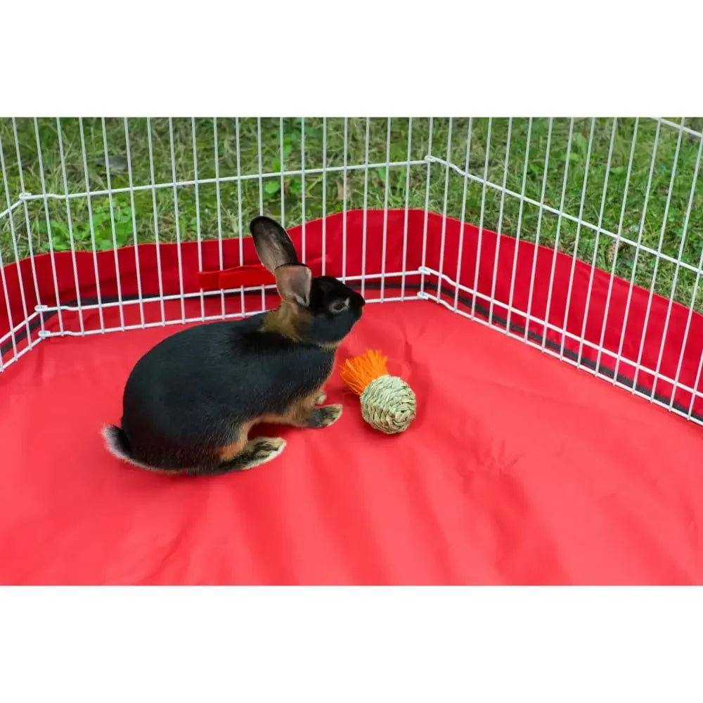 Grassy Nibblers Squash Prevue Pet