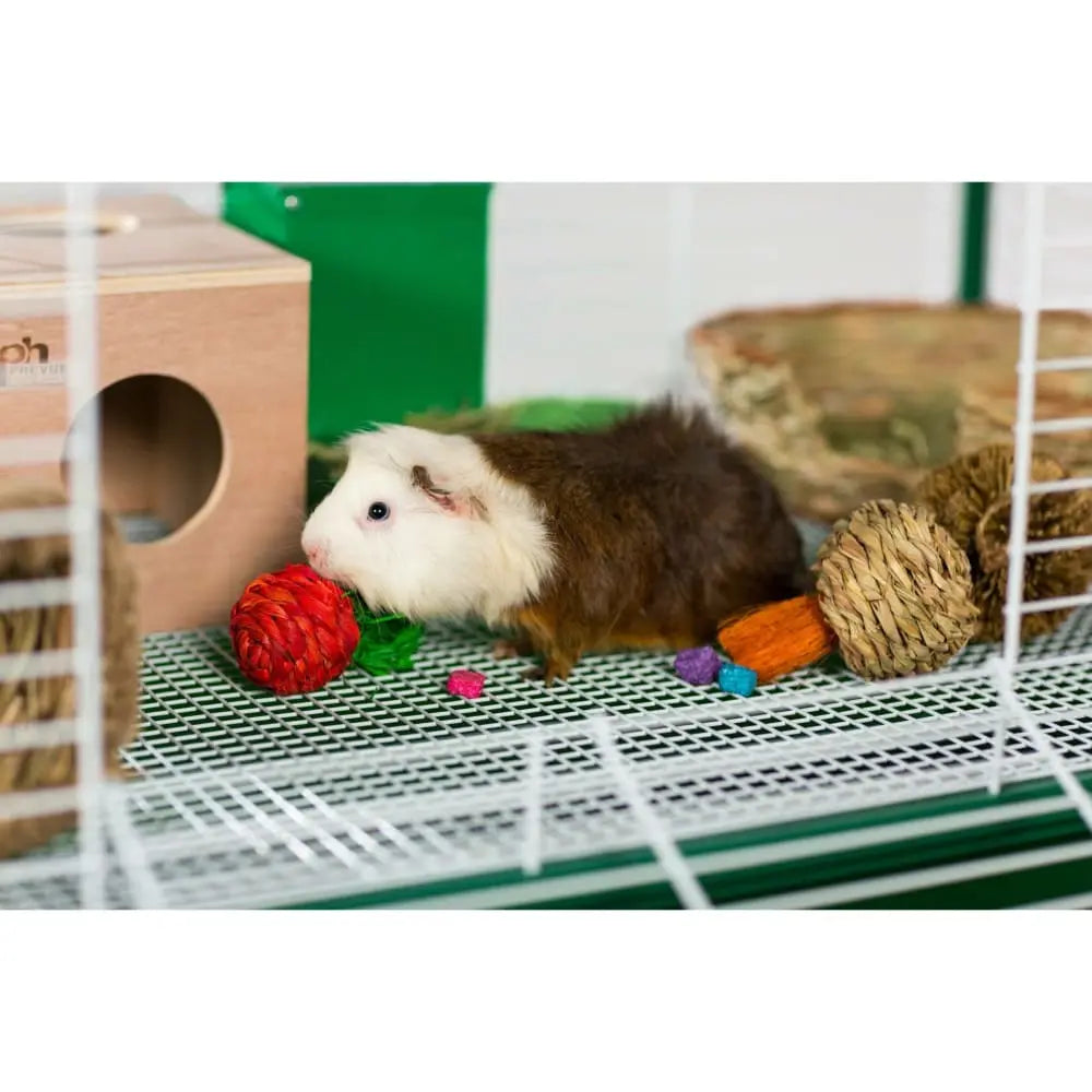 Grassy Nibblers Trio Woven 3 pc set Prevue Pet
