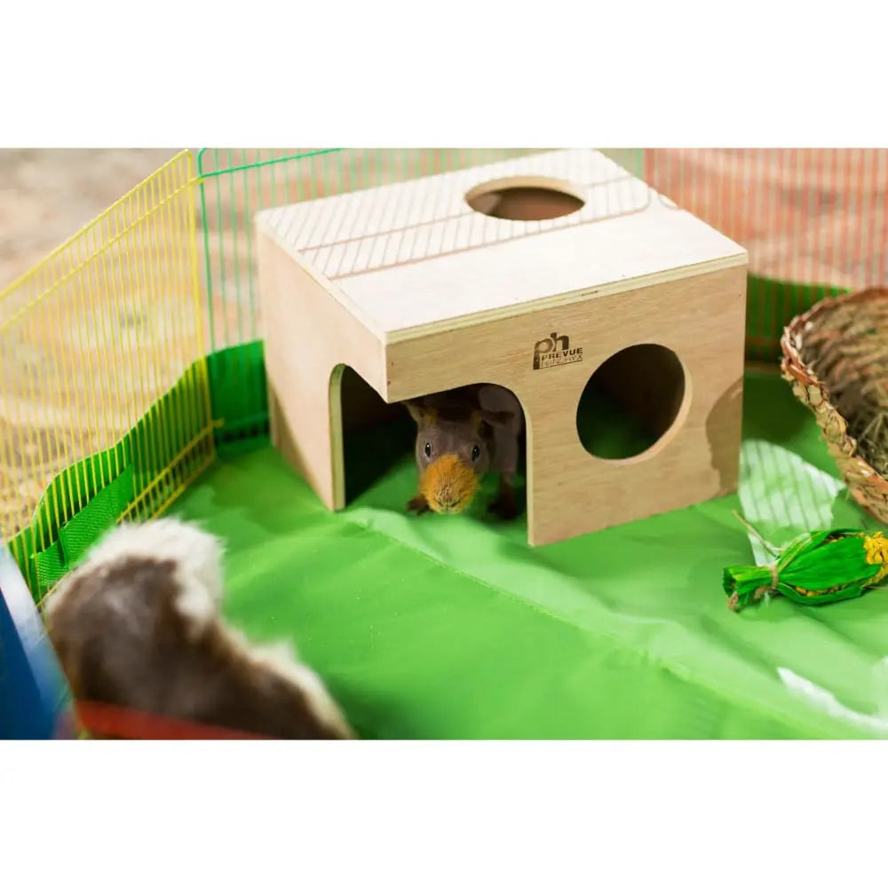 Grassy Nibblers Trio Woven 3 pc set Prevue Pet