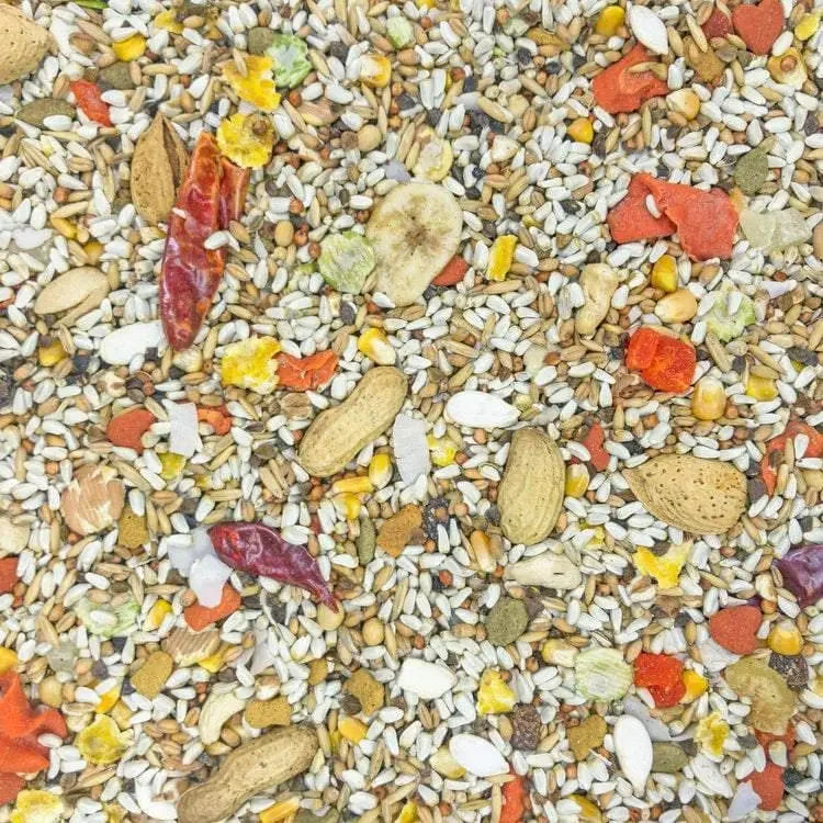 Higgins Safflower Gold Parrot Food 3 Lbs Higgins