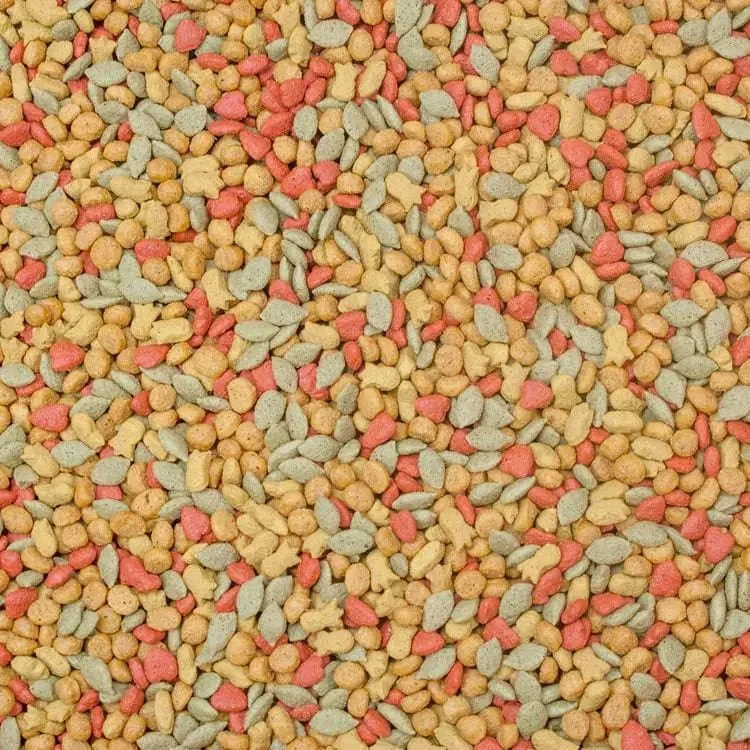 Higgins inTune Conure & Cockatiel Food 2 Lbs Higgins