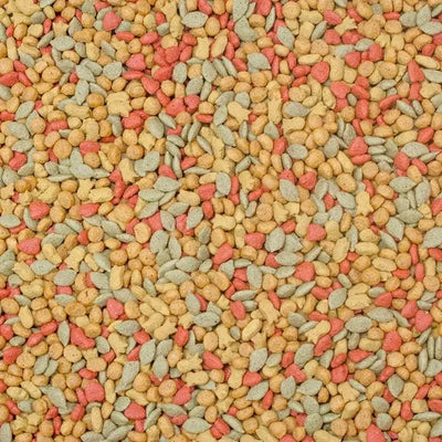 Higgins inTune Conure & Cockatiel Food 2 Lbs Higgins