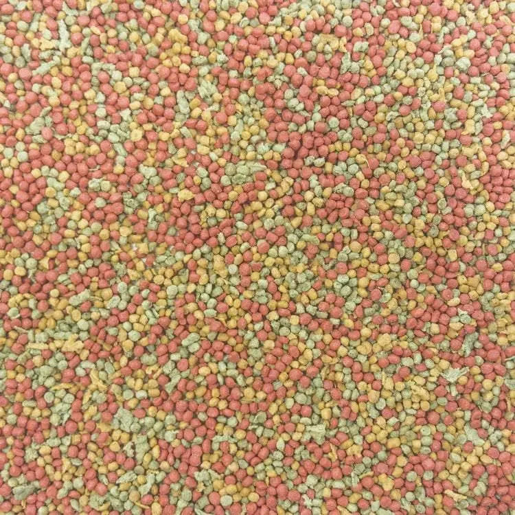 Higgins inTune Parakeet Food 2 Lbs Higgins