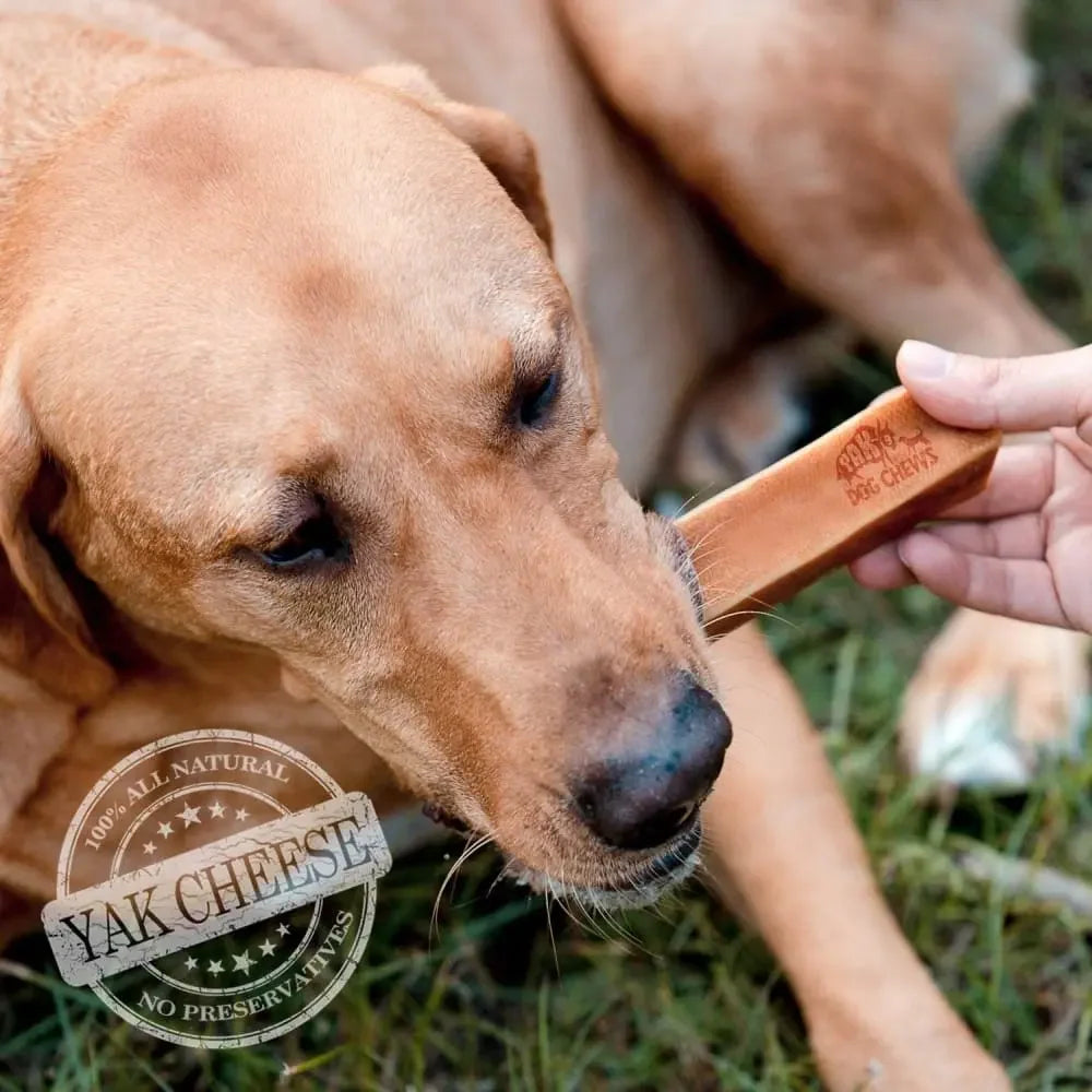 Honey Yak Milk Chews for Dogs Chew Dog Treat Yak9