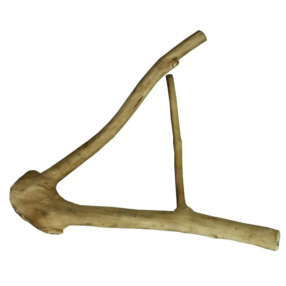 Javawood parrot Multi Branch perch cage play stand play gym wooden bird perches A&E Cage Company