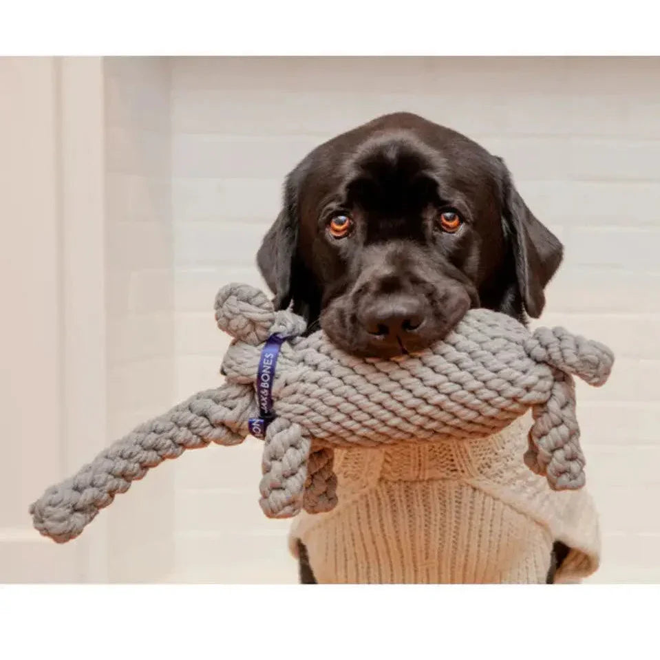 Jax & Bones Coco the Elephant Rope Dog Toy Jax & Bones