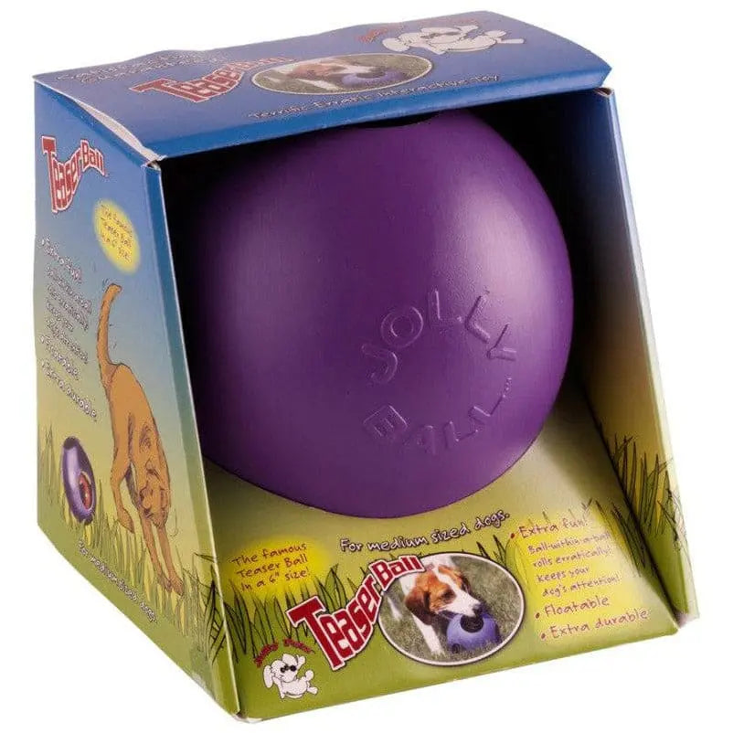Jolly Ball Dog Teaser Ball Jolly Pets