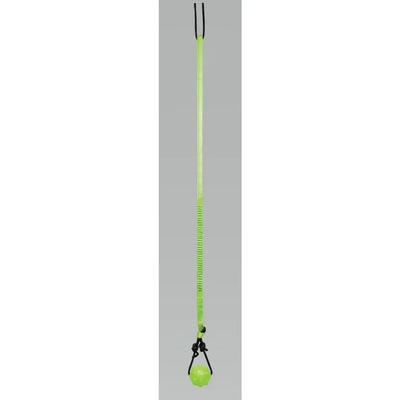 Jolly Pet Tree Tugger Dog Toy Jolly Pets