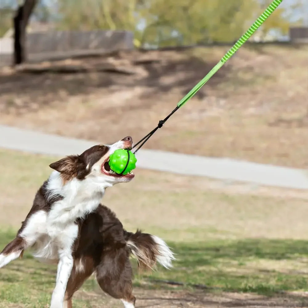 Jolly Pet Tree Tugger Dog Toy Jolly Pets