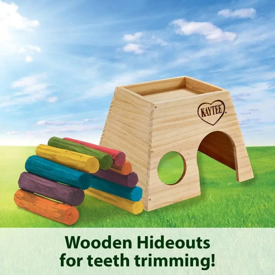 Kaytee Chinchilla Hut Hideout Clear 8 in X 6.25 in X 6.25 in Kaytee® CPD