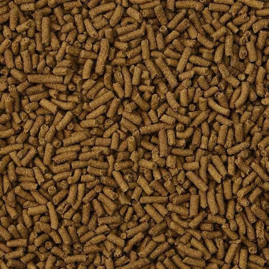 Kaytee Ferret Diet -- Turkey 1ea/4 lb Kaytee® CPD