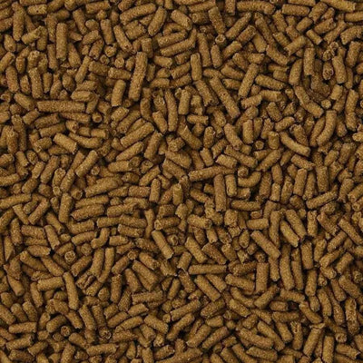 Kaytee Ferret Diet -- Turkey 1ea/4 lb Kaytee® CPD