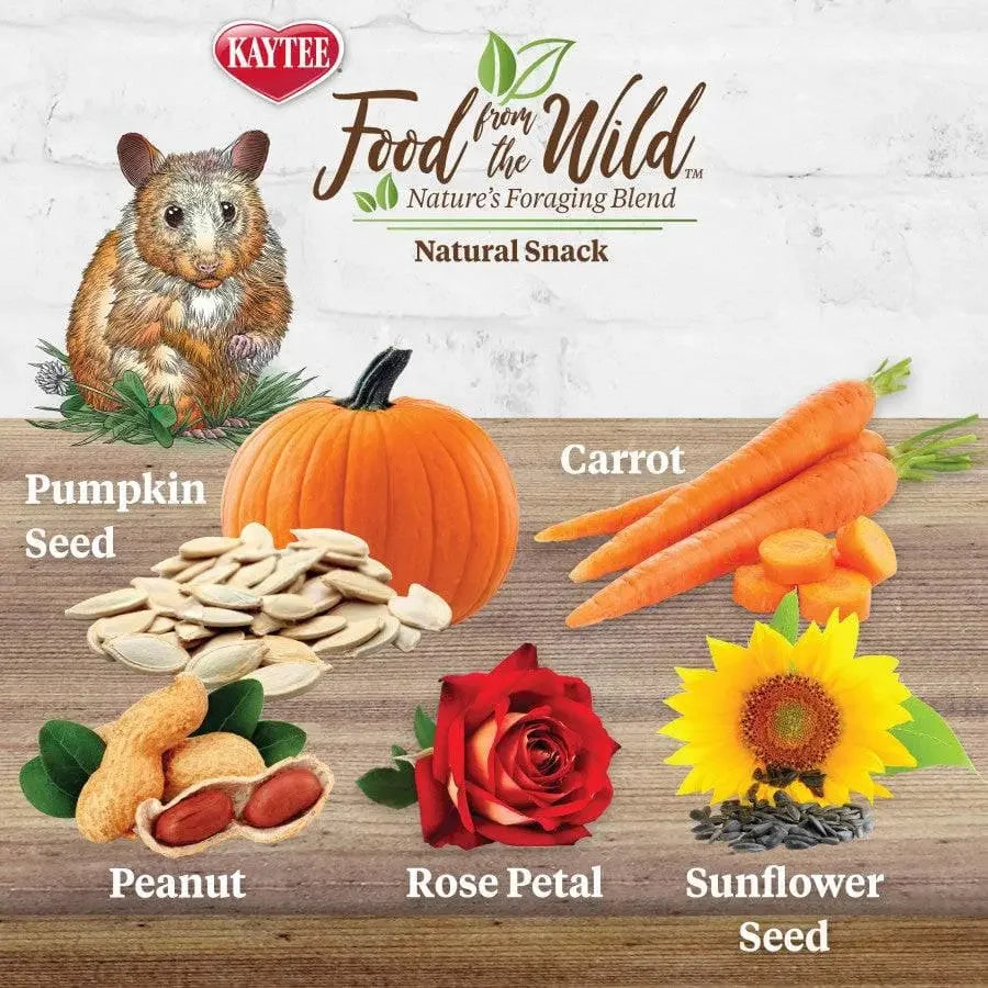 Kaytee Food From the Wild Natural Snack Hamster and Gerbil Food 2 oz Kaytee® CPD