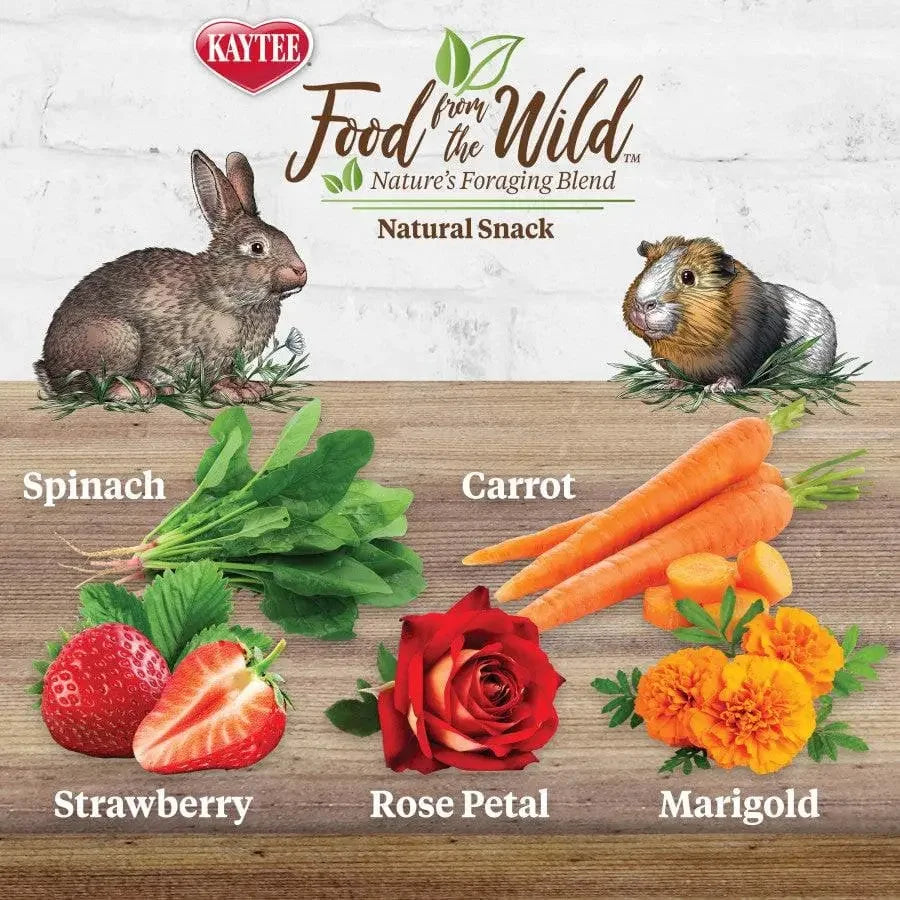 Kaytee Food From the Wild Natural Snack Rabbit and Guinea Pig 1 oz Kaytee® CPD
