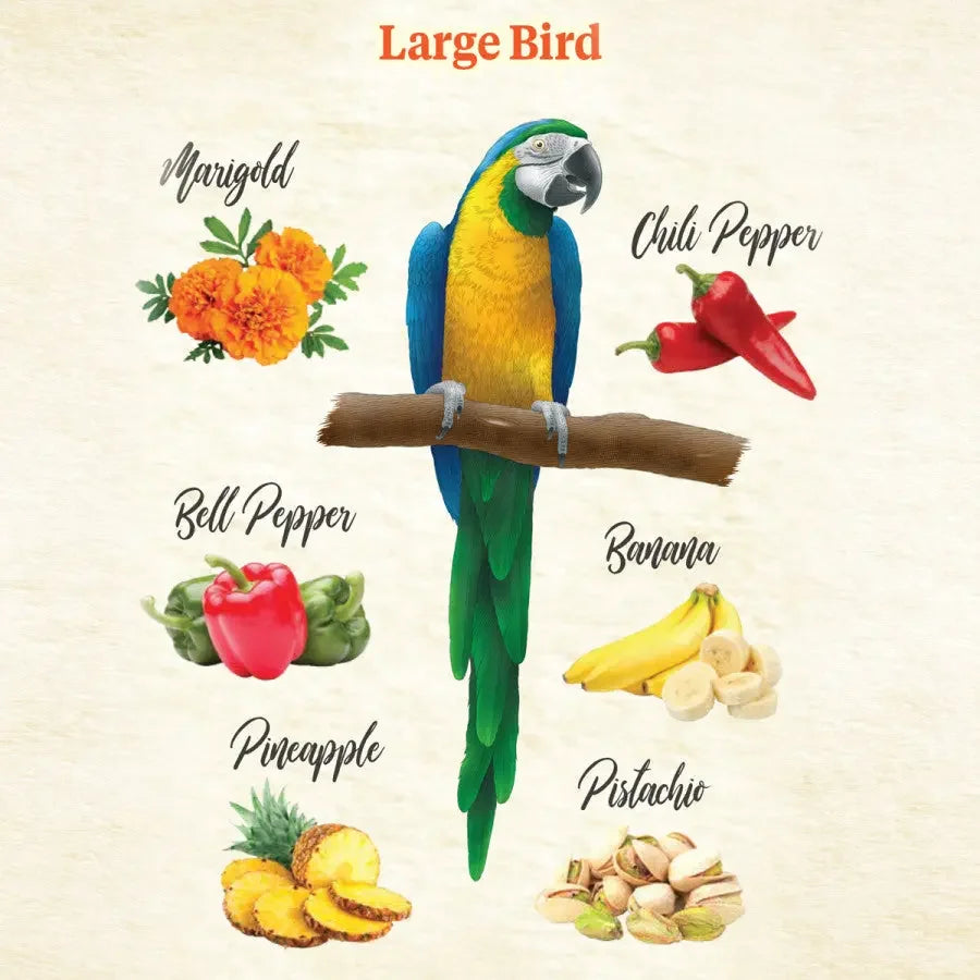 Kaytee Food from the Wild Natural Snack Med/Lrg Pet Bird Kaytee