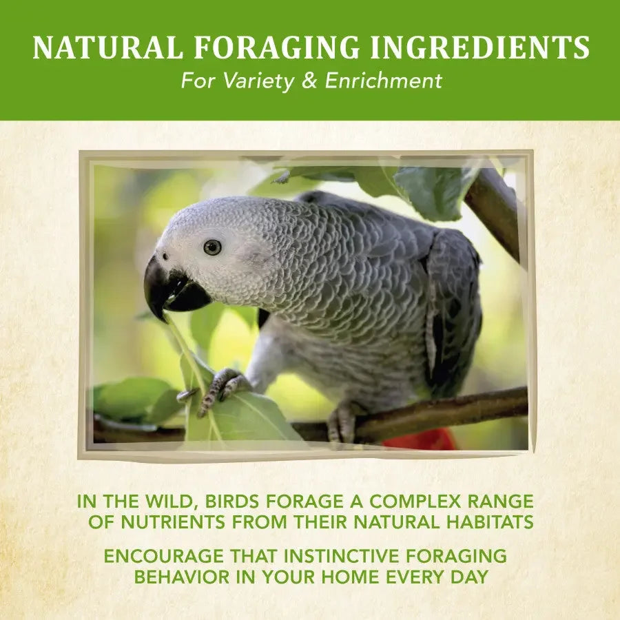 Kaytee Food from the Wild Parrot 2.5 lb Kaytee