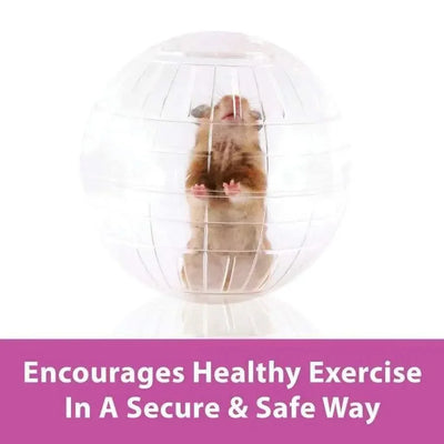 Kaytee Giant Run-About Exercise Ball Kaytee® CPD