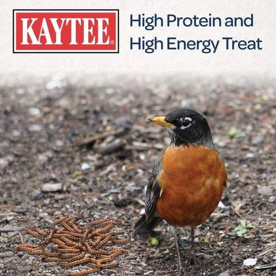 Kaytee Mealworm Wild Bird Food Pouch Kaytee® CPD