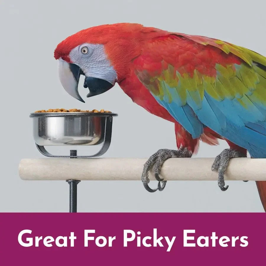 Kaytee NutriSoft Macaw & Cockatoo 3 lb Kaytee