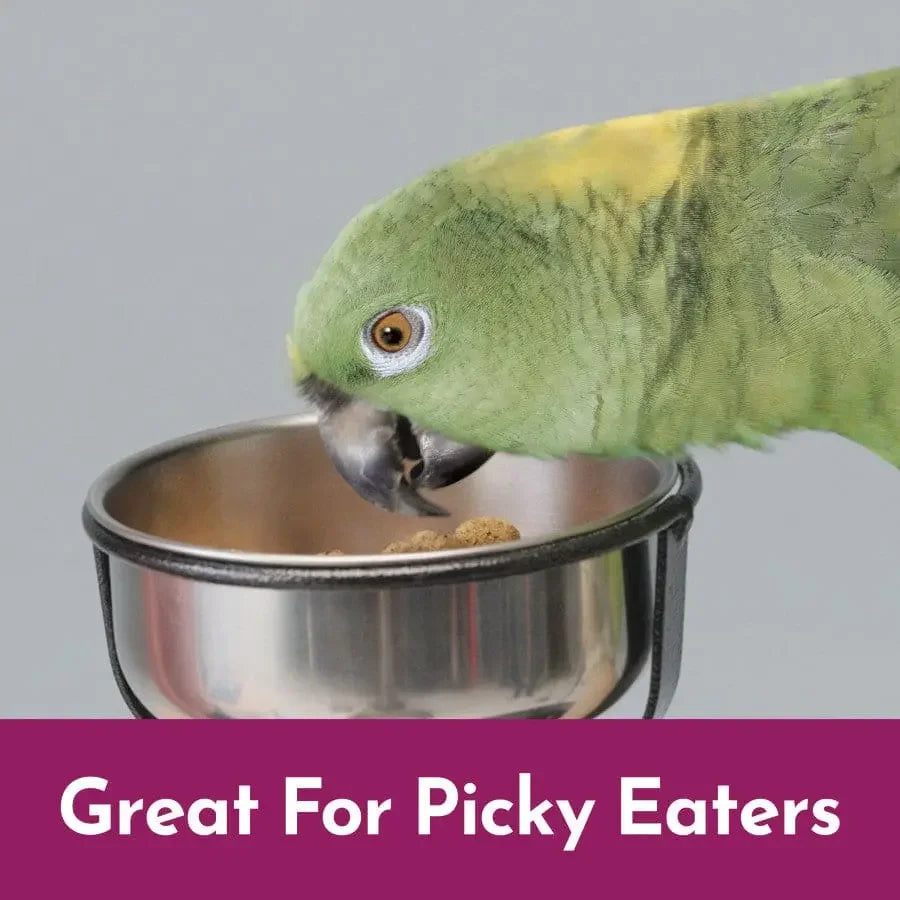 Kaytee NutriSoft Parrot & Conure 3 lb Kaytee