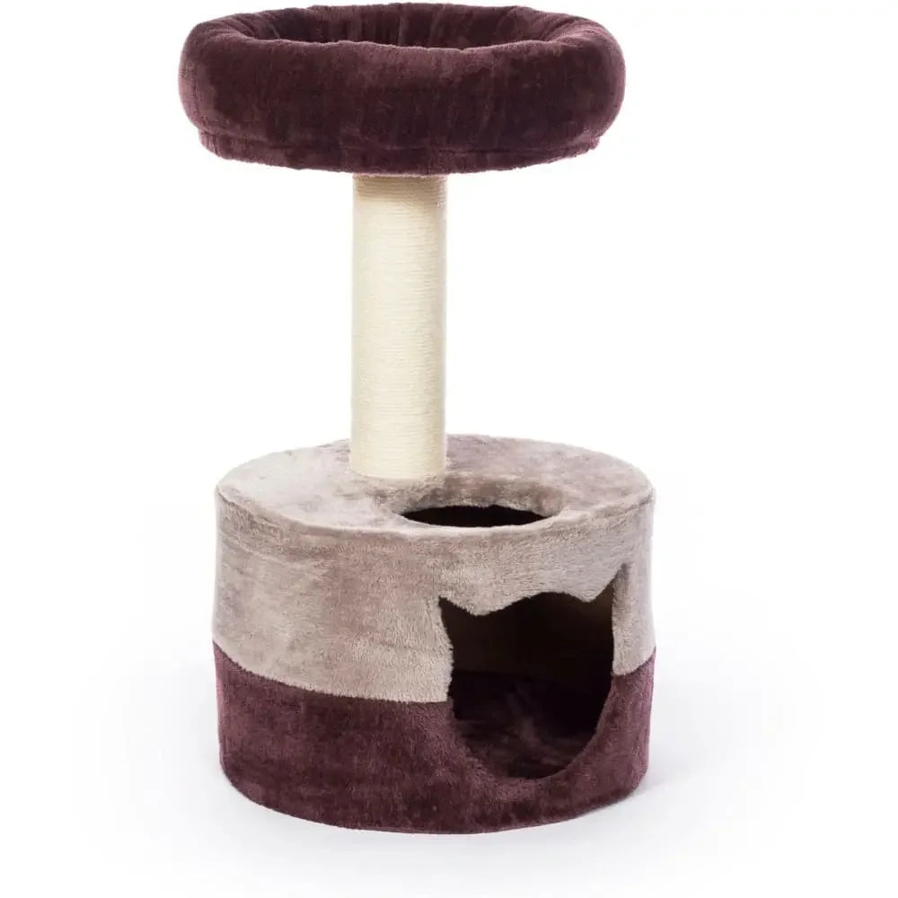 Kitty King Prevue Pet