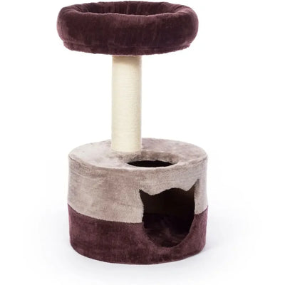 Kitty King Prevue Pet