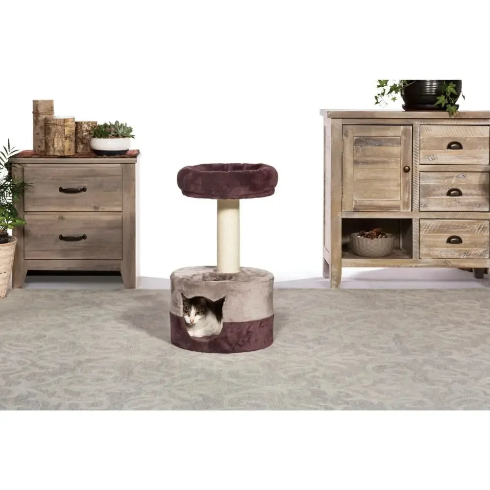 Kitty King Prevue Pet