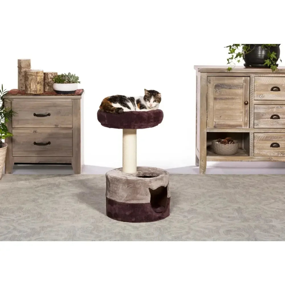 Kitty King Prevue Pet