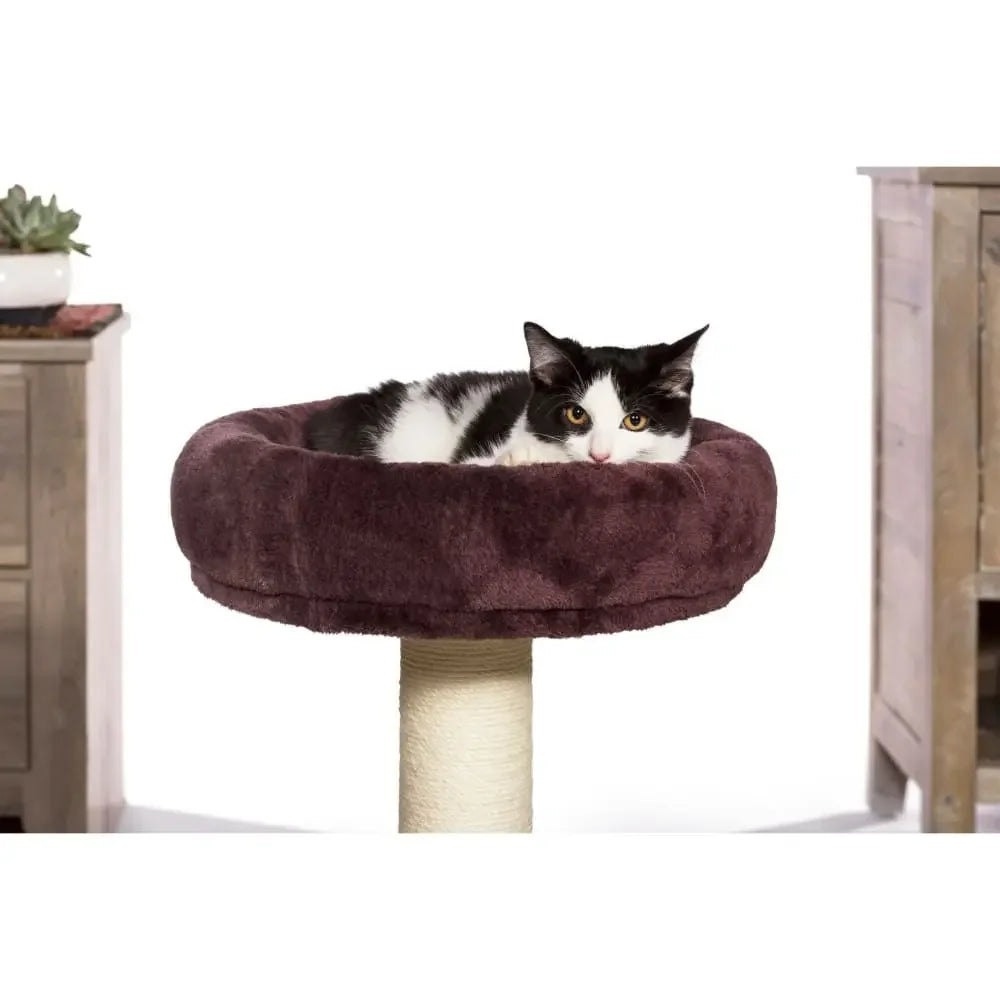Kitty King Prevue Pet