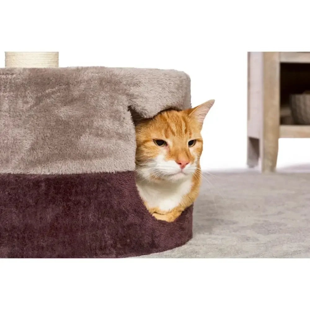 Kitty King Prevue Pet
