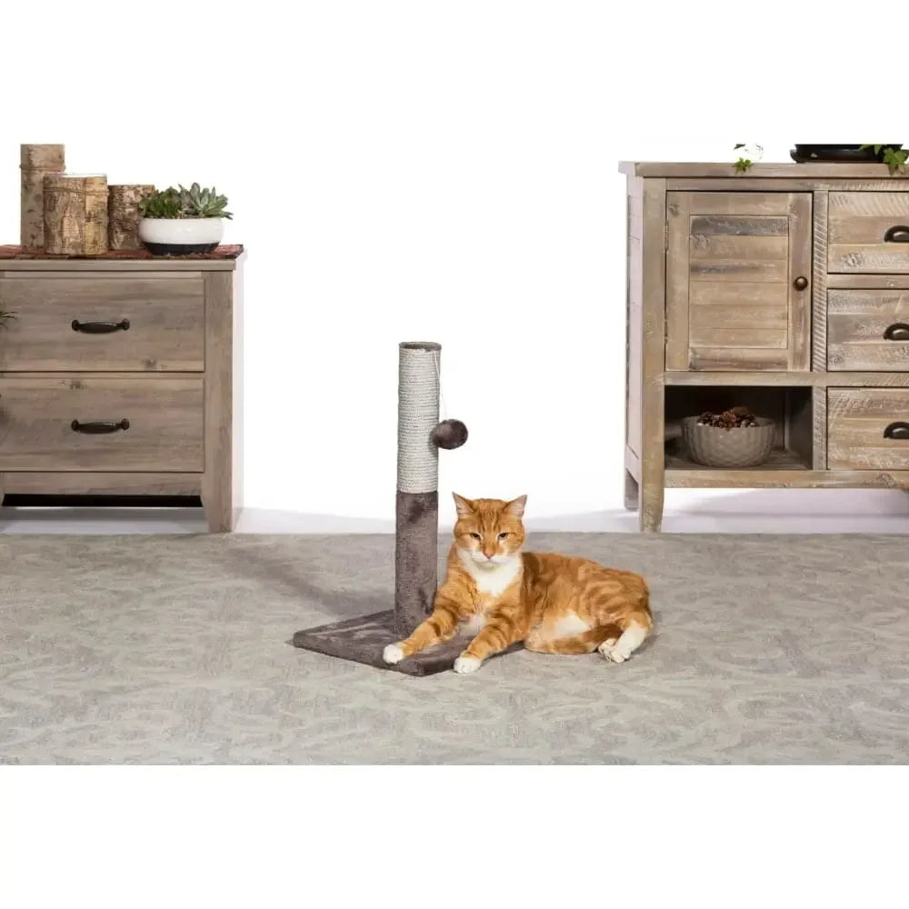 Kitty Power Paws Play & Scratch Prevue Pet