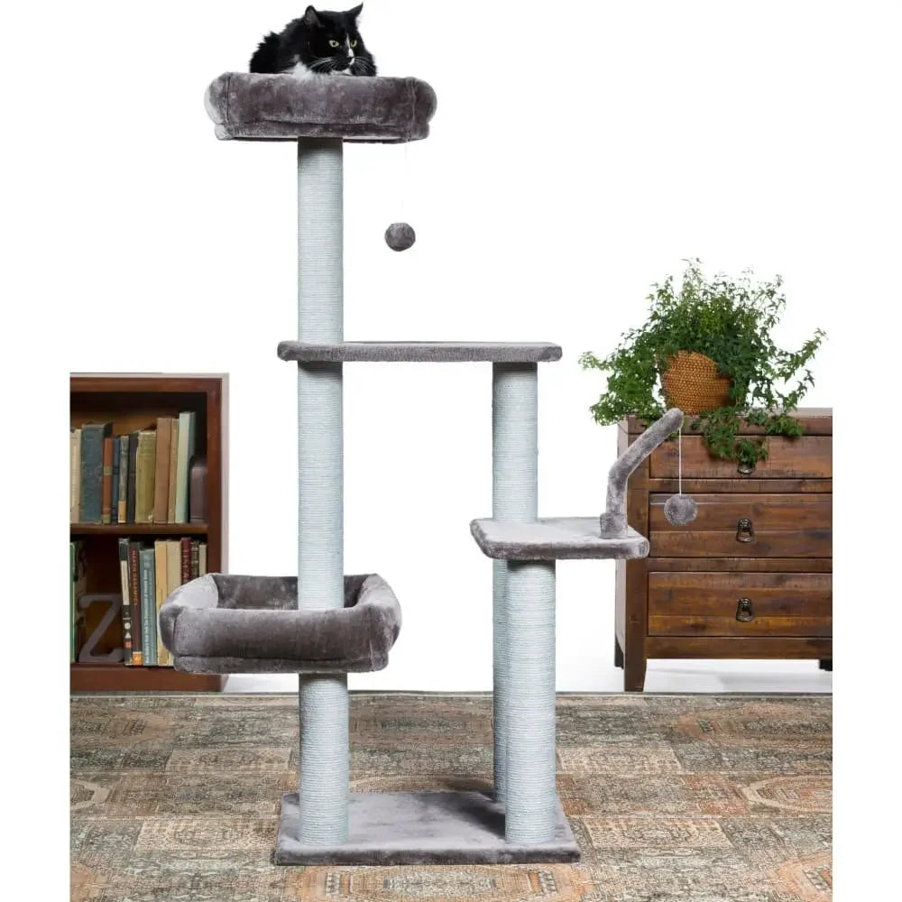 Kitty Power Paws The Ritz Prevue Pet