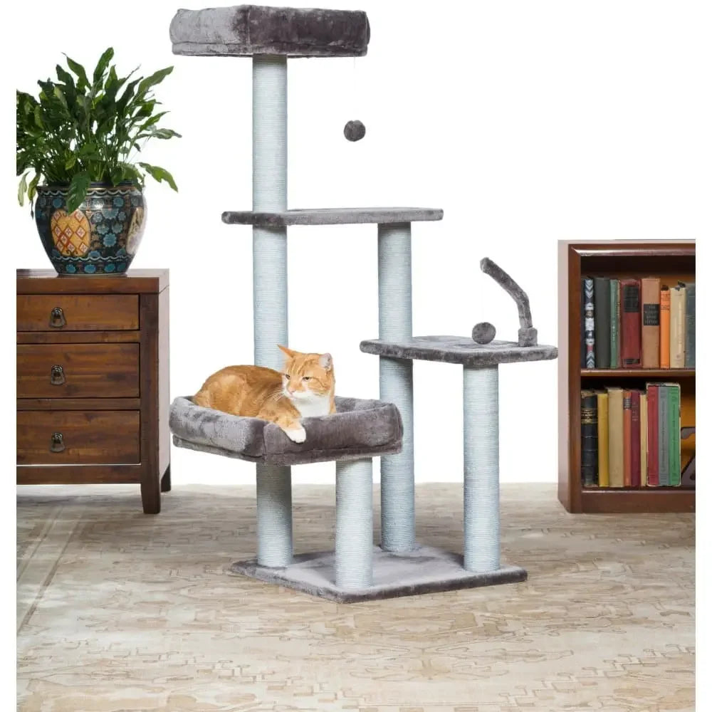 Kitty Power Paws The Ritz Prevue Pet