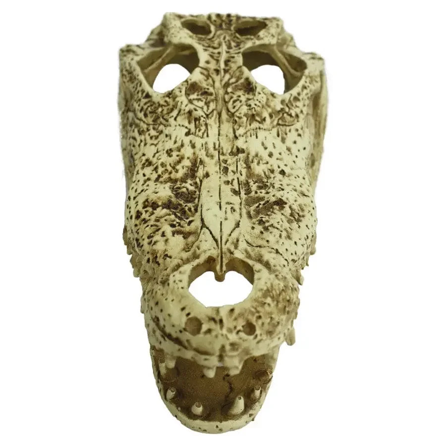 Komodo Alligator Skull Hideout 9 in Komodo