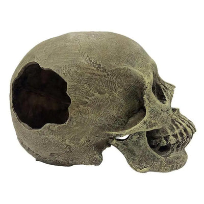 Komodo Full Human Skull Reptile Hideout Full Human Skull Gray One Size Komodo