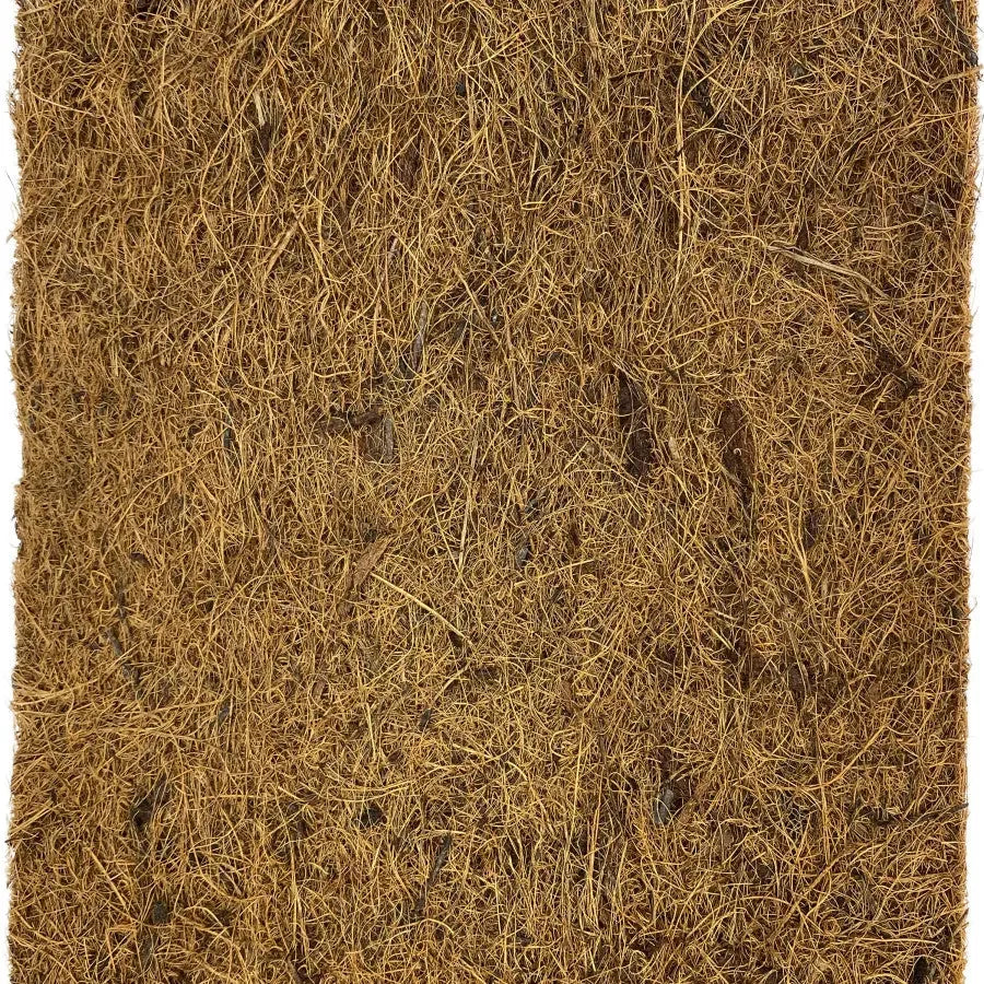 Komodo Living Natural Coconut Fiber Terrarium Liner Komodo