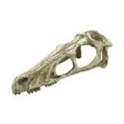 Komodo Raptor Skull Reptile Hideout Raptor Skull Tan 1ea Komodo