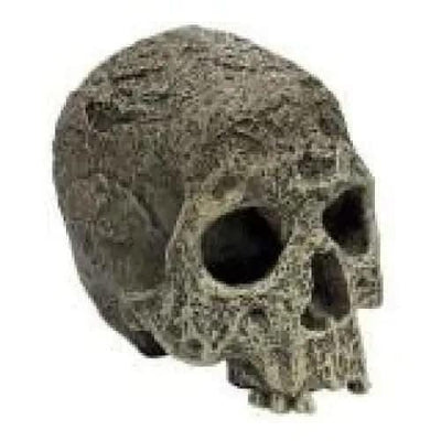 Komodo Textured Human Skull Reptile Hideout Textured Human Skull Gray 1ea/One Size Komodo
