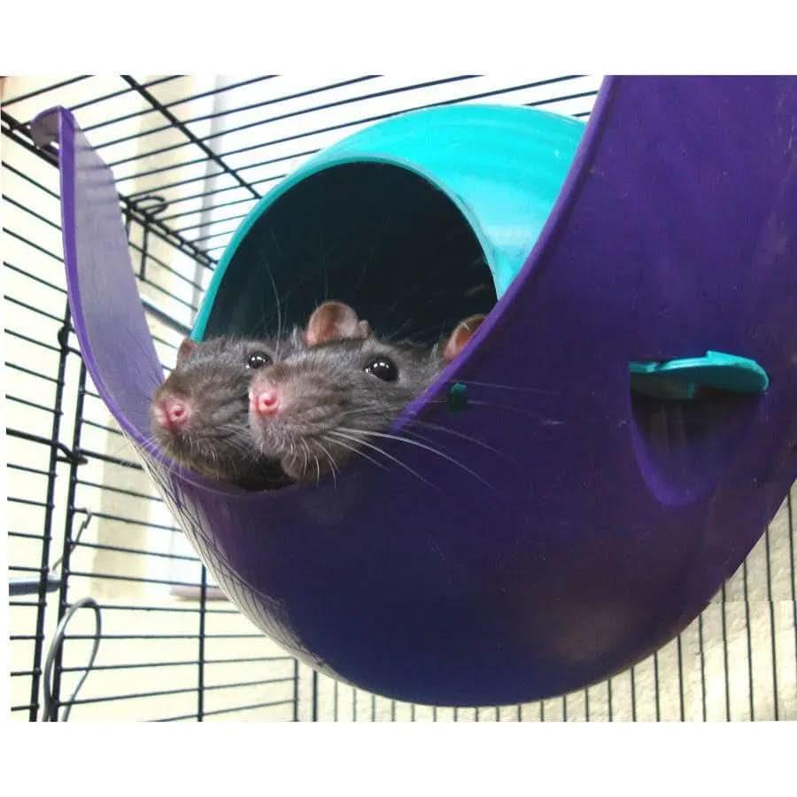 Lixit Critter Space Pod Small Animal House Lixit
