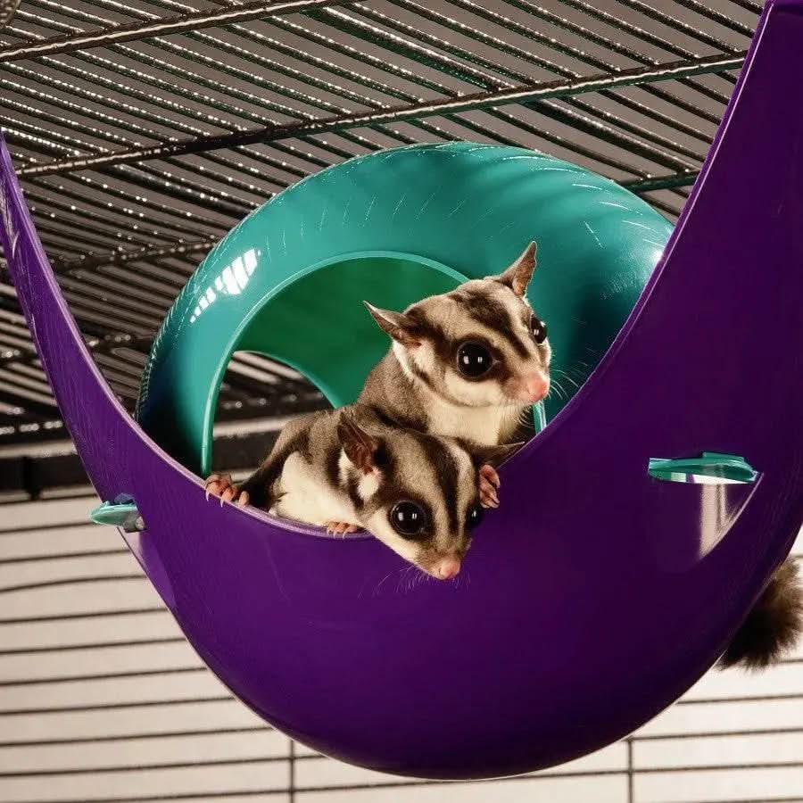 Lixit Critter Space Pod Small Animal House Lixit