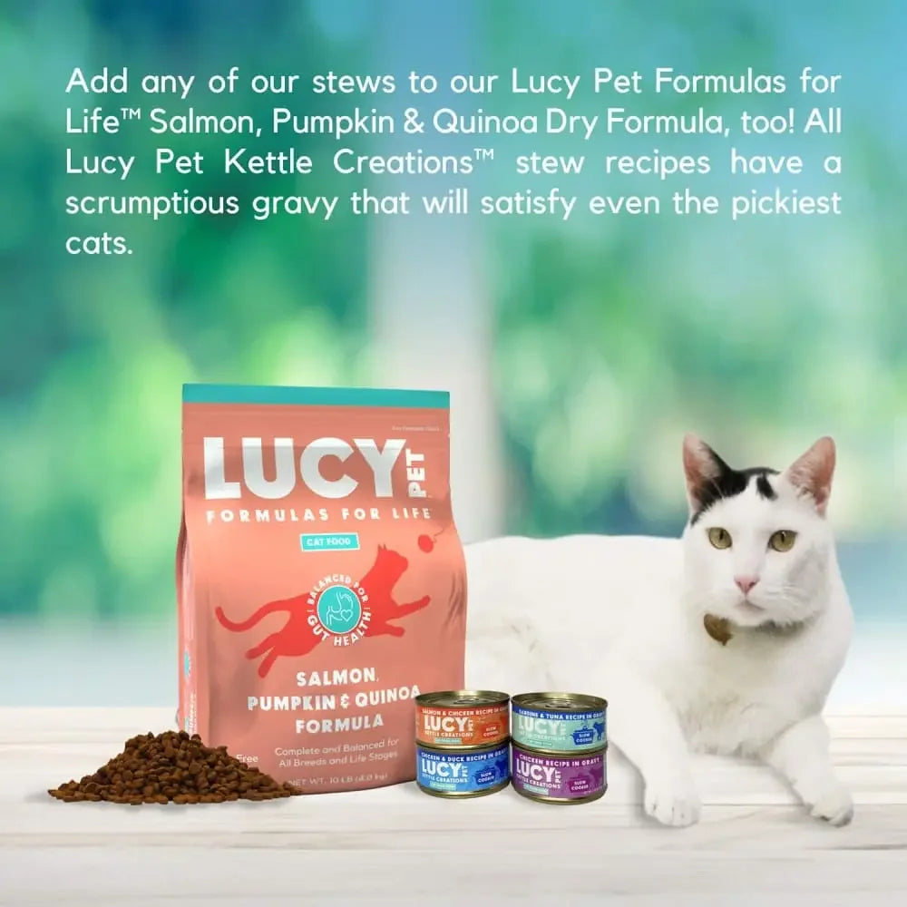 Lucy Pet Products Kettle Creations Adult Wet Cat Food 12ea/2.75 oz Lucy Pet Products