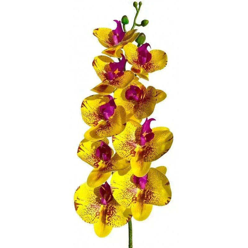 Lugarti's Moth Orchids Reptile Décor Lugarti