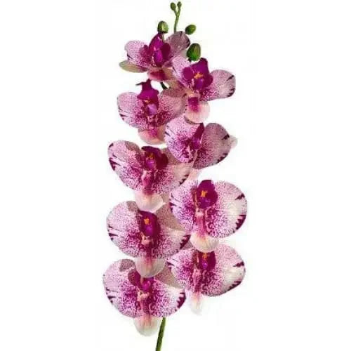 Lugarti's Moth Orchids Reptile Décor Lugarti
