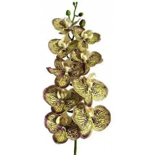 Lugarti's Moth Orchids Reptile Décor Lugarti