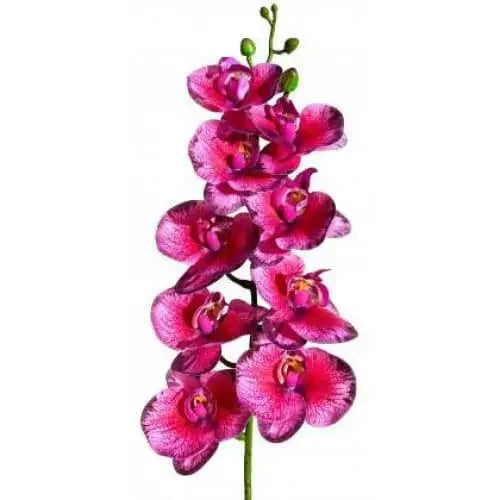 Lugarti's Moth Orchids Reptile Décor Lugarti
