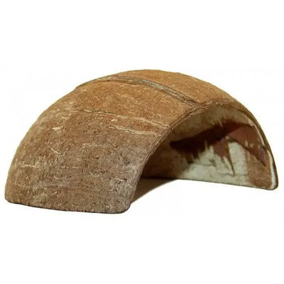 Lugarti's Tarantula Hides Lugarti